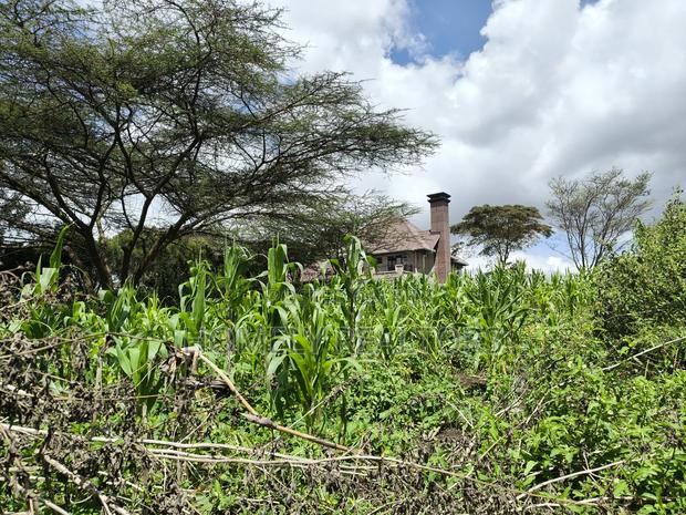 Eighth Acre Plot in Ngong, Ol Keri 100 Meters From Tarmac - thumbnail 3