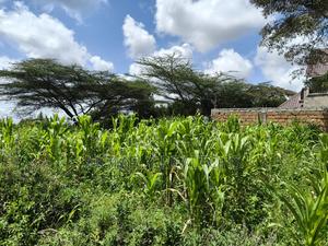 Eighth Acre Plot in Ngong, Ol Keri 100 Meters From Tarmac - thumbnail 2