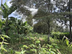 Half Acre Plot on Sale in Ngong, Ol Keri Touching the Tarmac