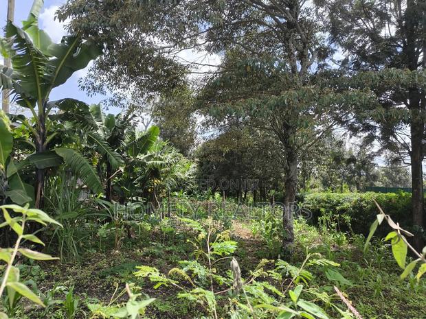 Half Acre Plot on Sale in Ngong, Ol Keri Touching the Tarmac - thumbnail 3