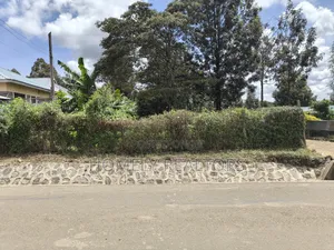 Half Acre Plot on Sale in Ngong, Ol Keri Touching the Tarmac