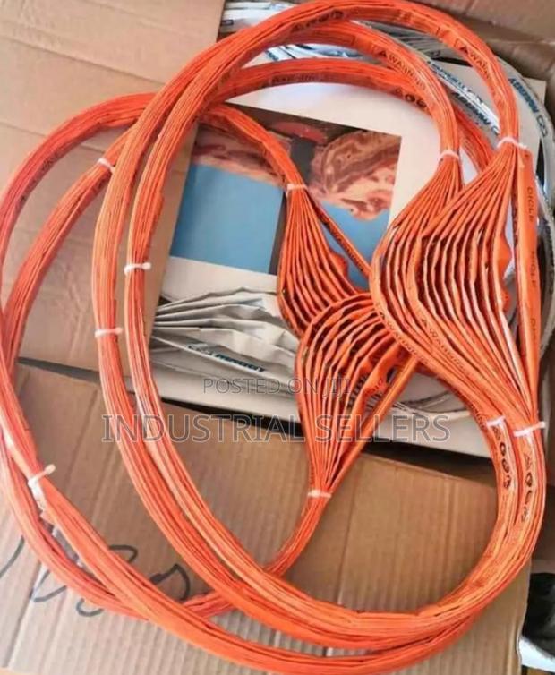 The Afternoon Bone Saw Blades - main view