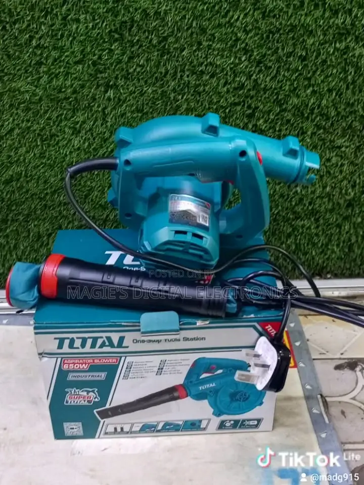 High Standard 650w Total Air Blower