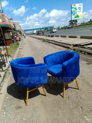 Royal Blue Manicure Styling Seats 