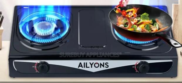 Ailyons Gs013-2 Gas Stove Double Burner