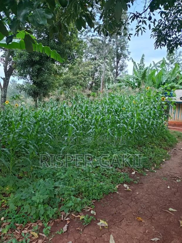 0.45 Acres Coffee Income Land for Sale at Chuka Karingani
