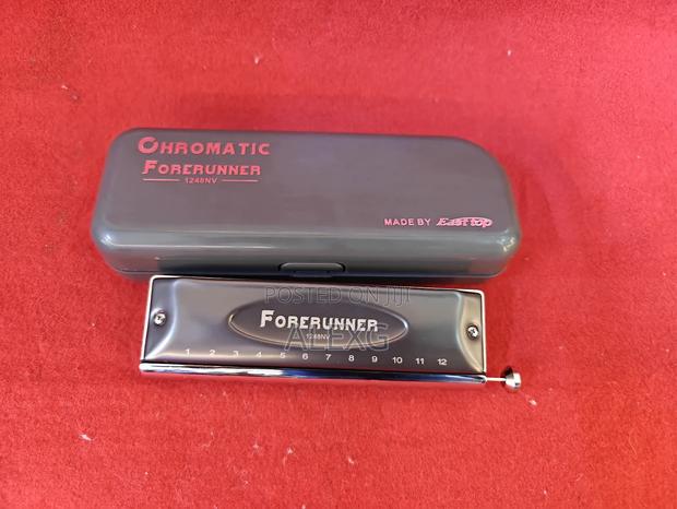 Button Quality Harmonica - main view