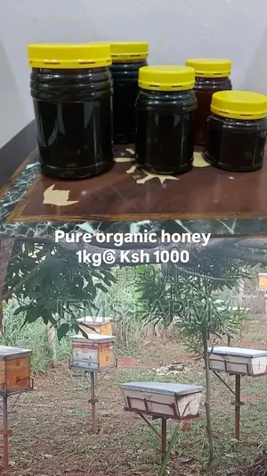 Pure Organic Honey From Jems Apiary