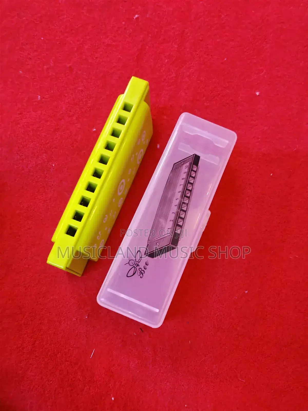 10 Hole Plastic Harmonica
