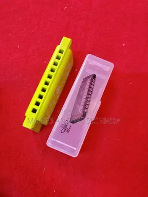 10 Hole Plastic Harmonica