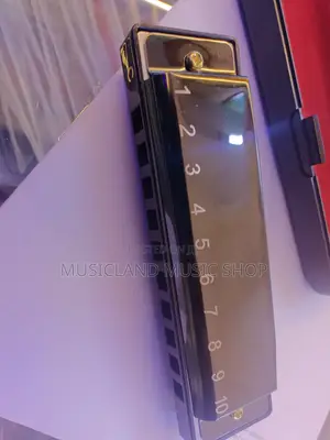 Harmonica Diatonic Black