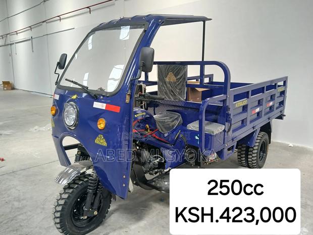 New Tricycle 2025 Blue - main view