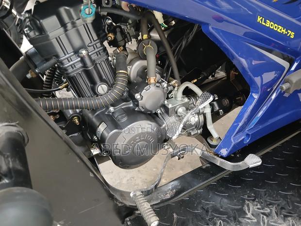 New Tricycle 2025 Blue - thumbnail 2