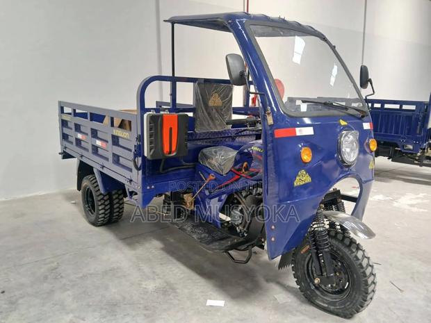 New Tricycle 2025 Blue - thumbnail 4