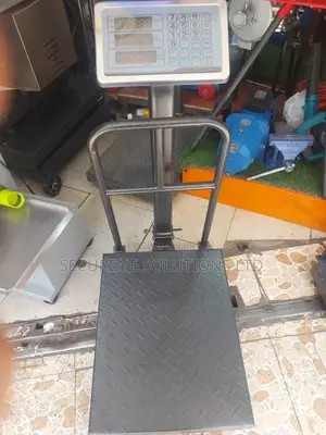 300kg Digital Platform Weighing Scale for Industrial Use