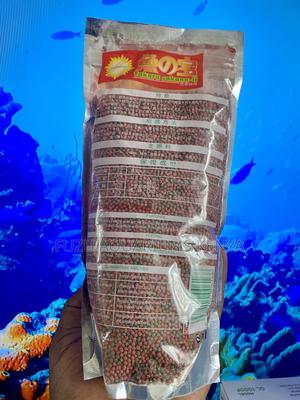 Keep Your Aquarium Cleaner With Low-Waste Fish Pellets - thumbnail 2