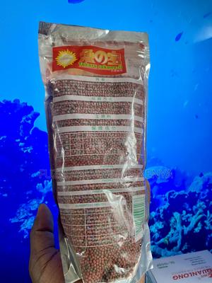 Fish Thrive on Our Special Formula Pellets - thumbnail 2