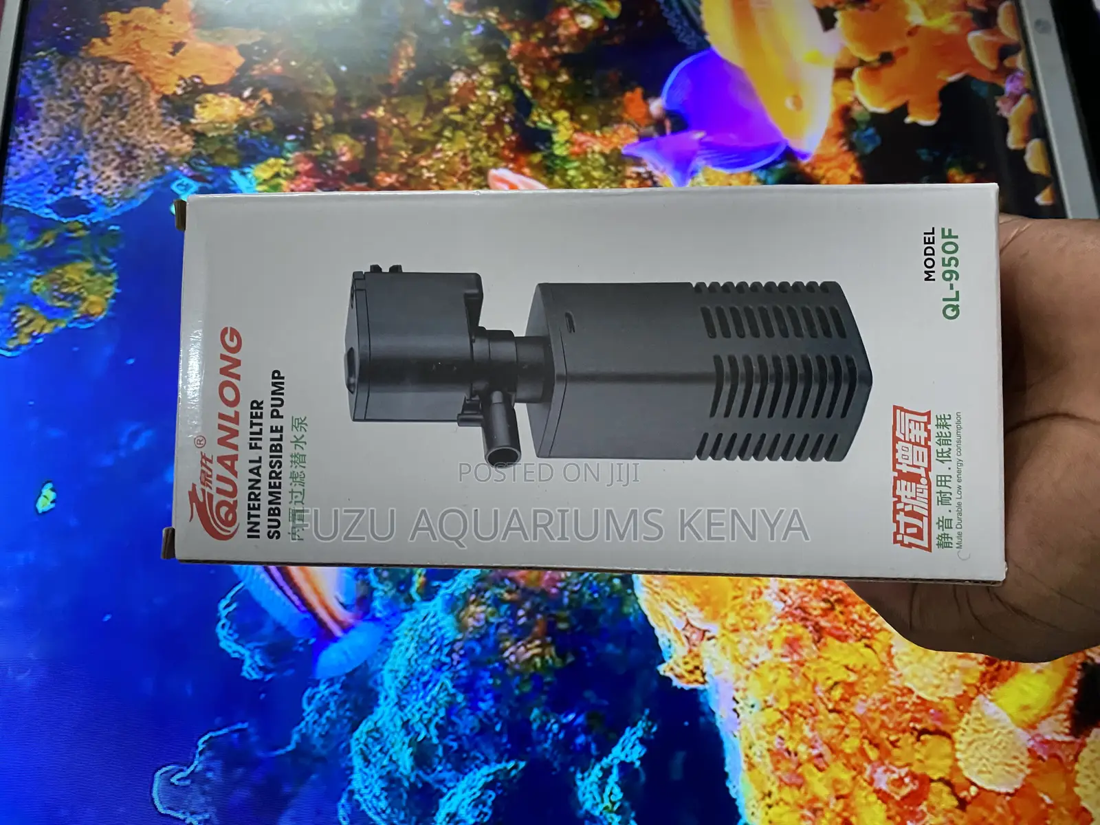 Crystal-Clear Water Starts With Ql Filter Pumps!