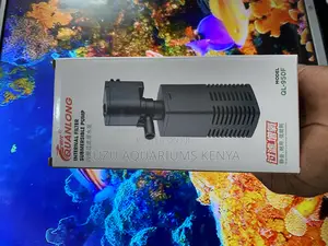 Crystal-Clear Water Starts With Ql Filter Pumps!