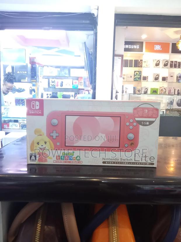 Nintendo Switch Lite - main view