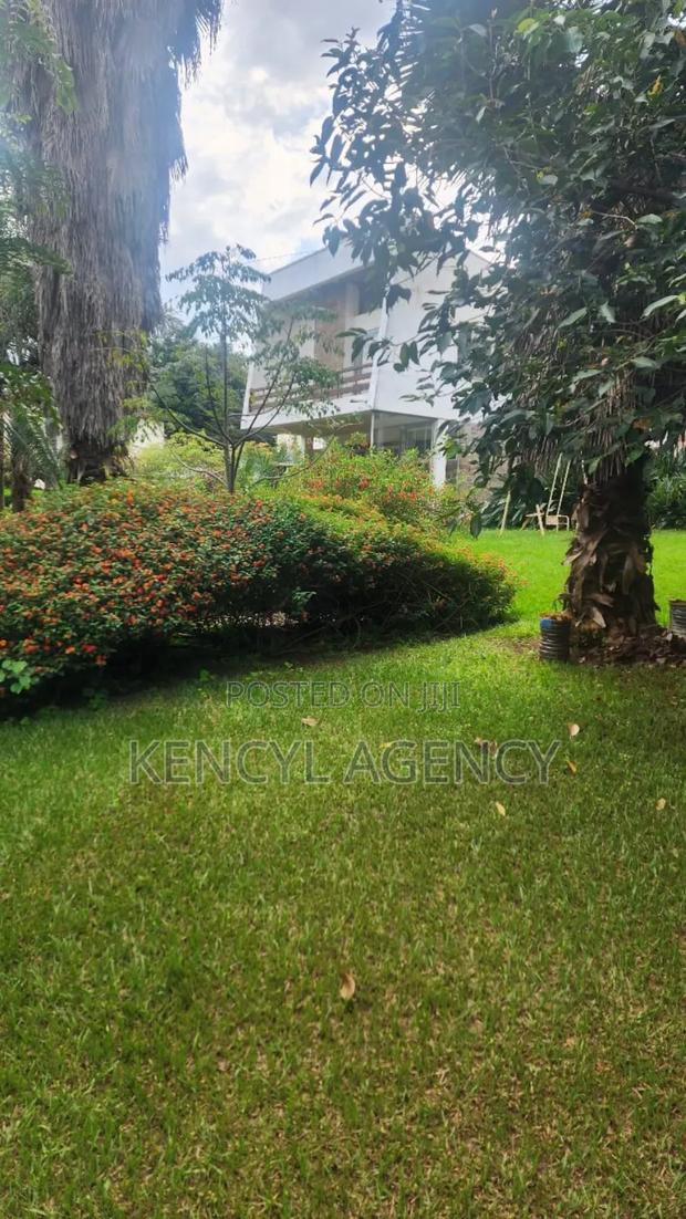 Land for Sale in Lavington - thumbnail 7