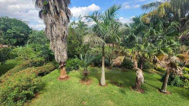 Land for Sale in Lavington - thumbnail 9