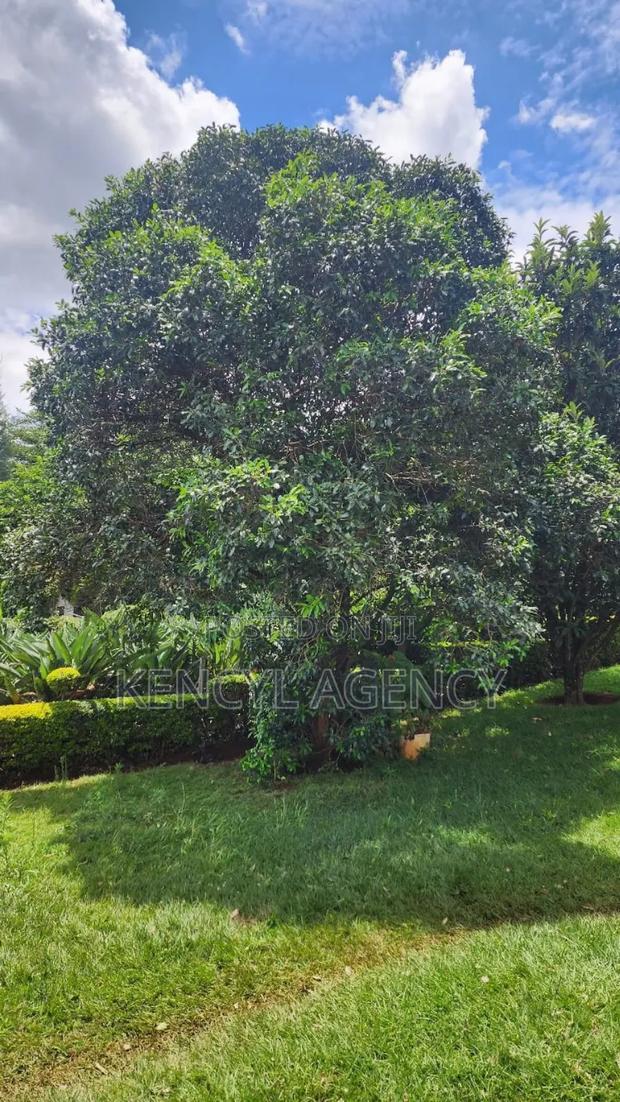 Land for Sale in Lavington - thumbnail 11