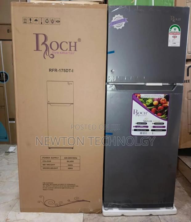 Roch 175-Dt-I Double Door Refrigerator - Silver