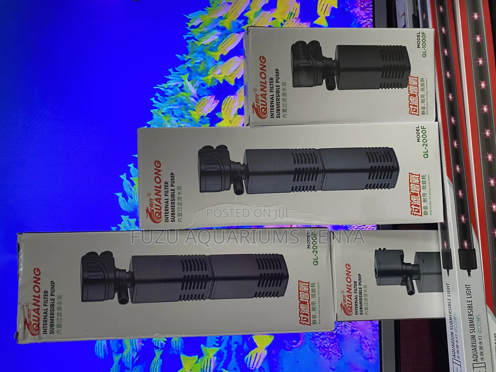Clean From the Inside Out With Our Submersible Filter Pump