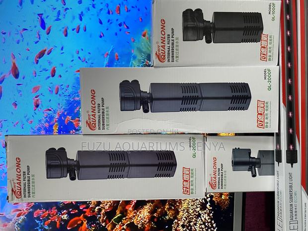 Filter Pump Below the Surface – Maximum Efficiency - main view