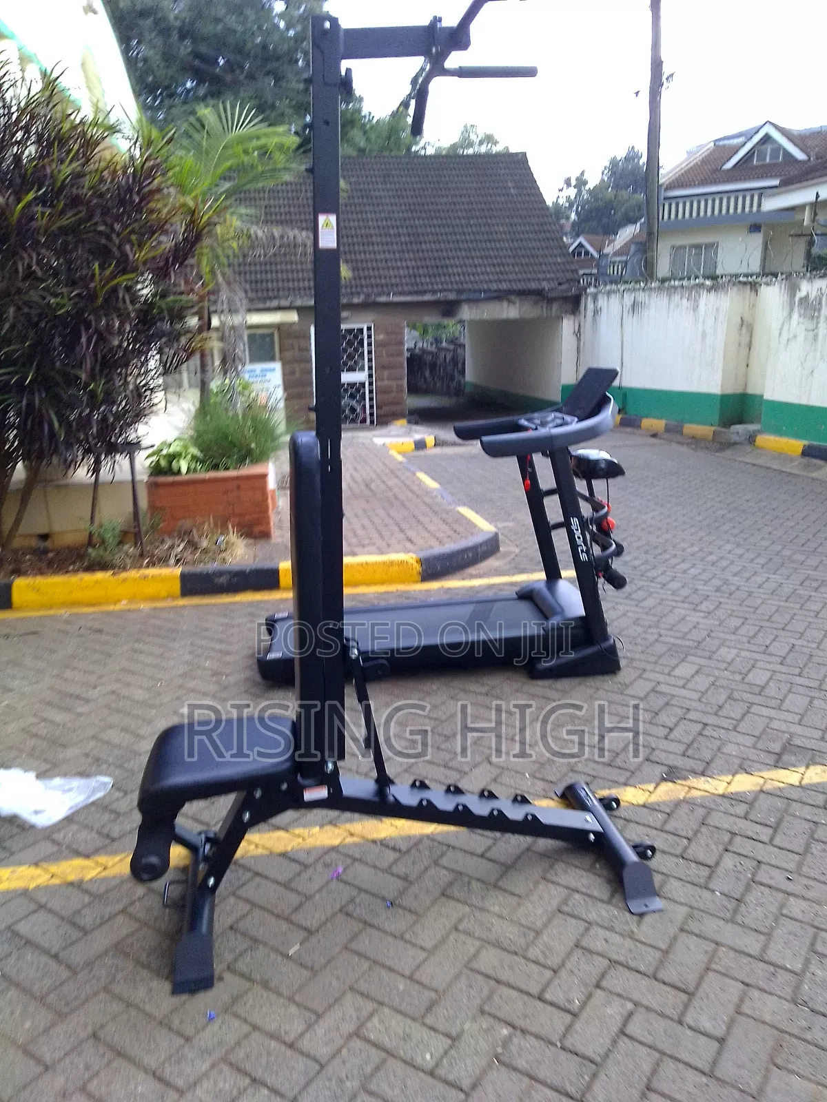Chest and Arbs Adjustable Gym Bench