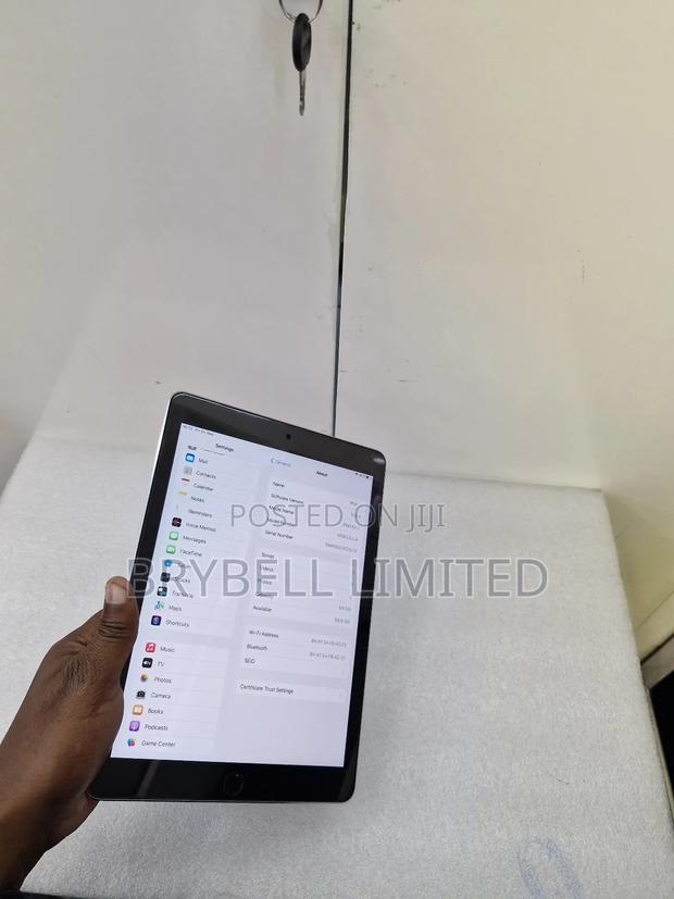 Apple iPad Air 2 64 GB Gray - thumbnail 10