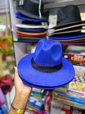 Fedora Hats in Royal Blue Wide Brim Unisex Hats at 700