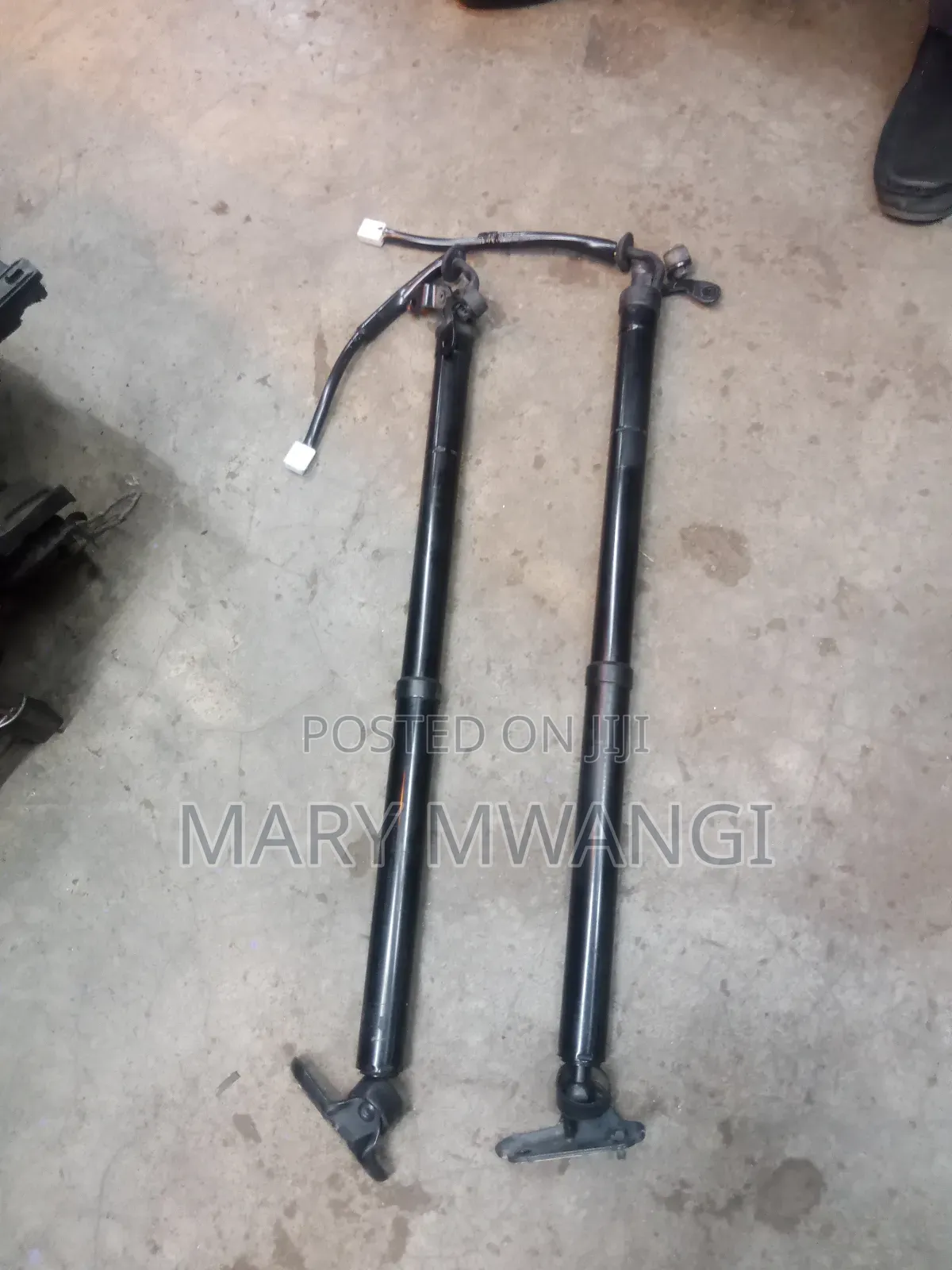 Electric Boot Shock Harrier New Model