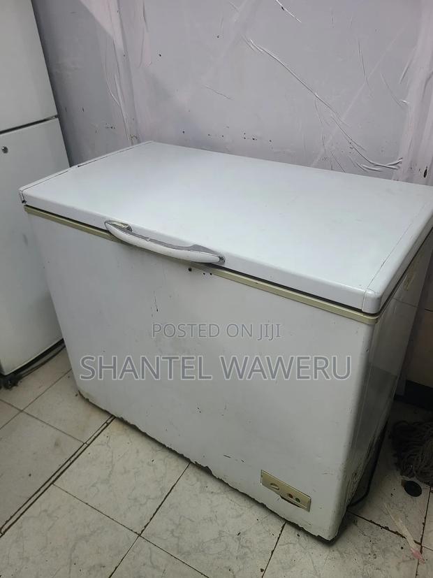 Milk Deep Freezer 230litres - thumbnail 2