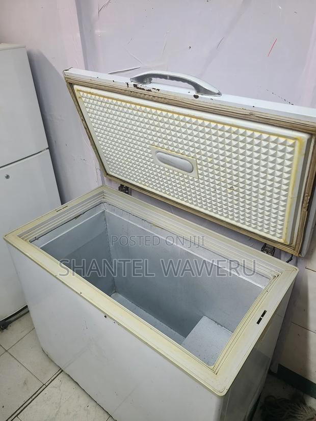 Milk Deep Freezer 230litres - thumbnail 4