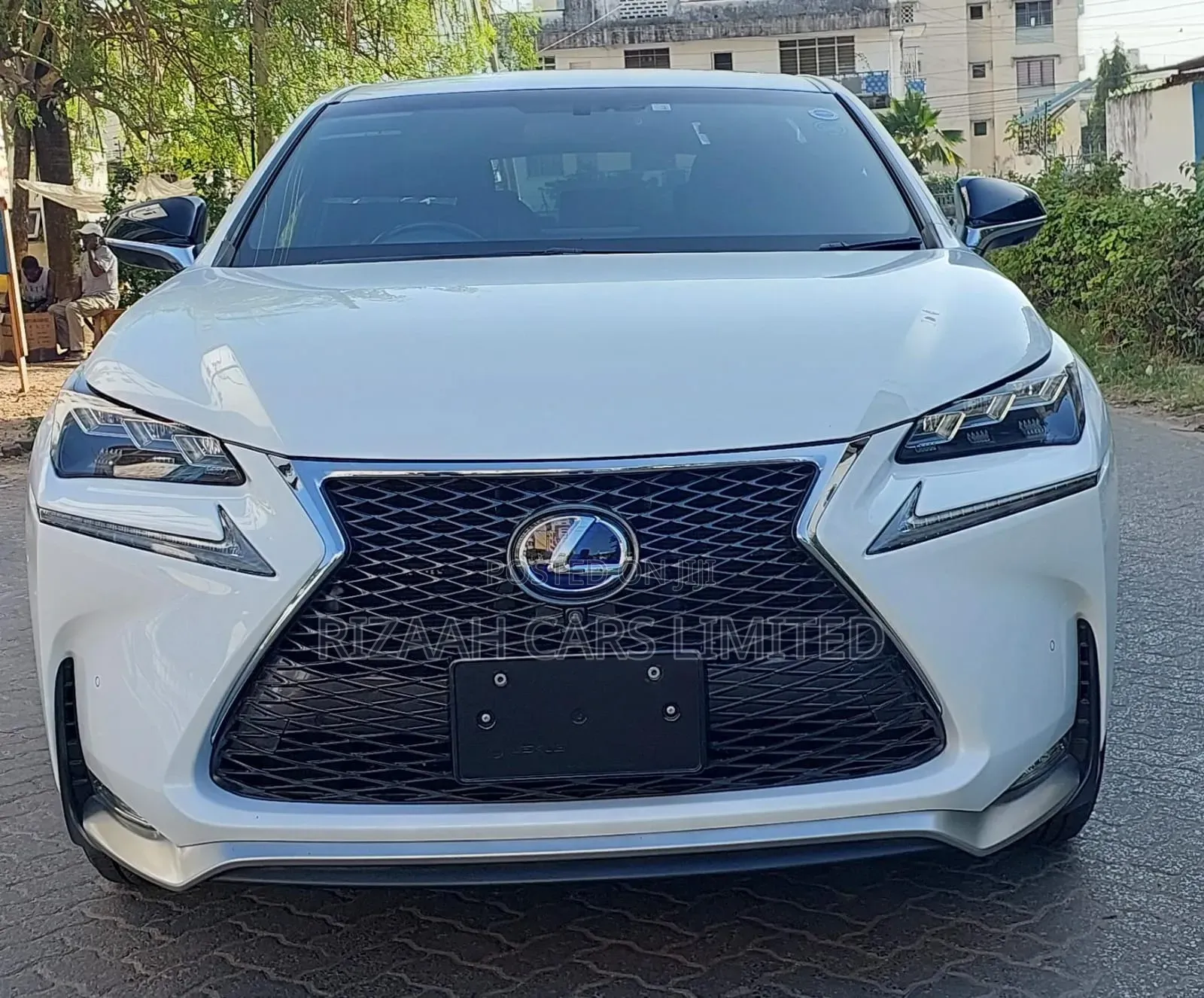 Lexus NX 300h Base 4x4 (2.5L 4cyl 2A) 2017 White