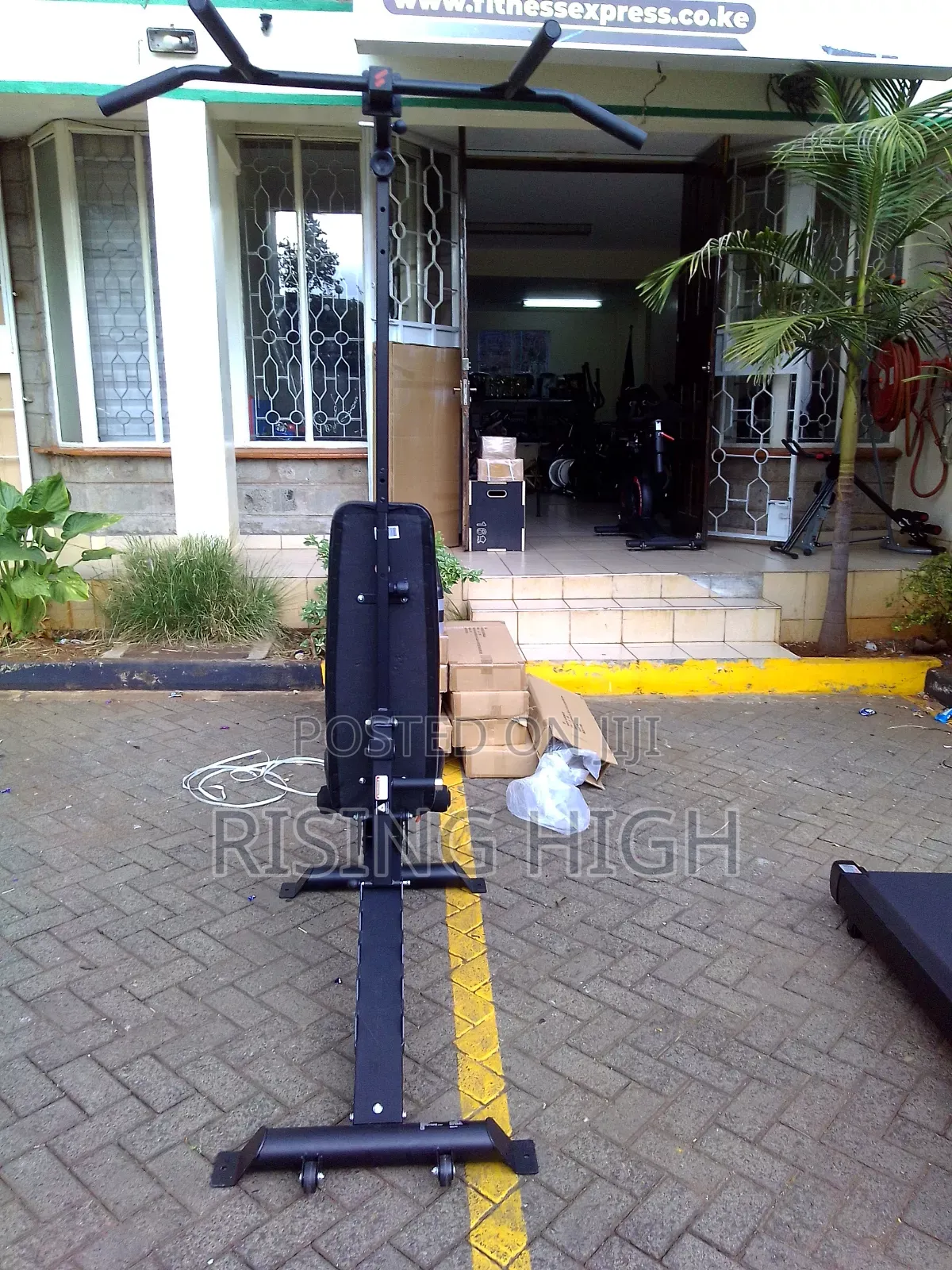 Sit Up Support Adjustable Gym Bench
