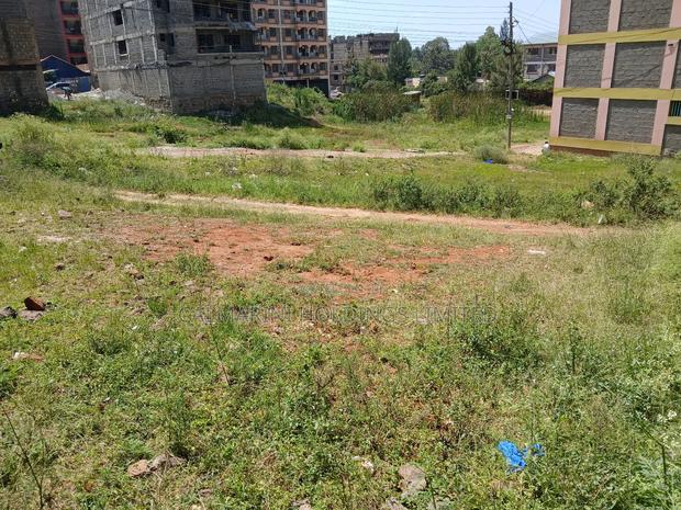 Very Prime Plot Commercial Plot in Kasarani, Nairobi, Sunton - thumbnail 3