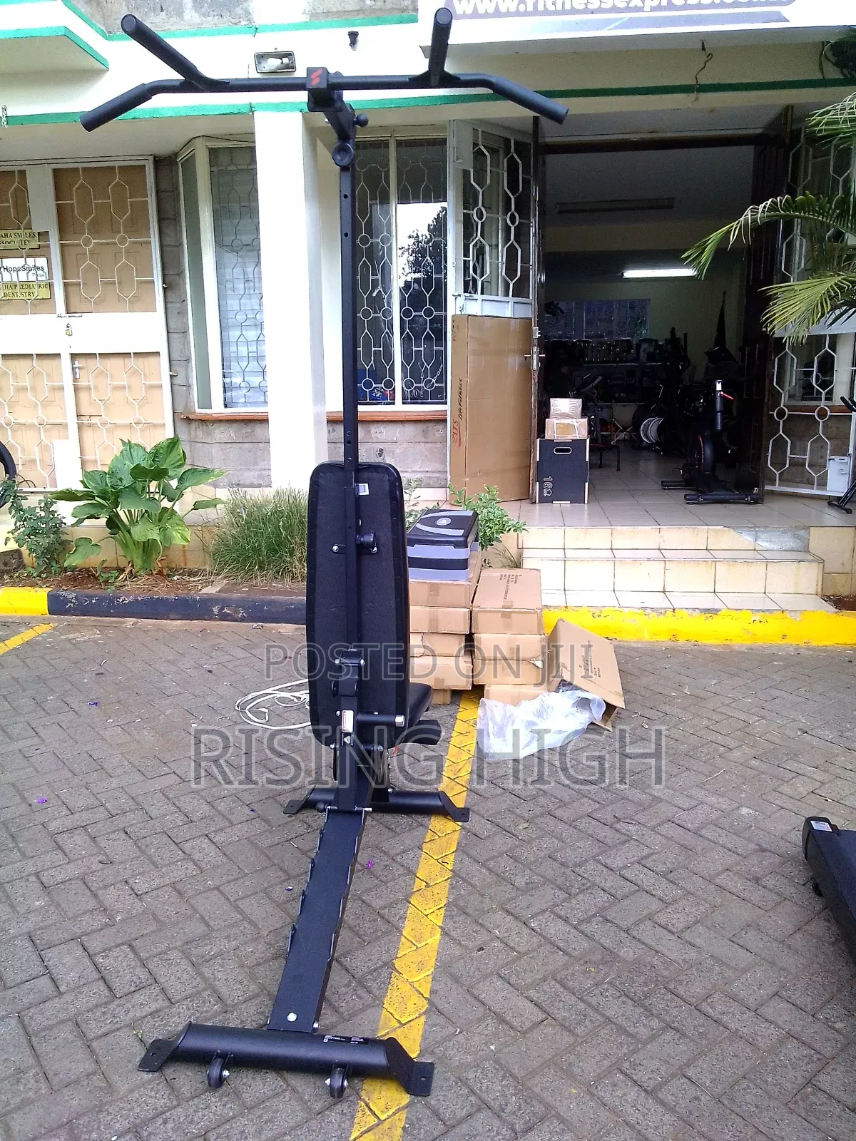 Pro Version Adjustable Gym Bench