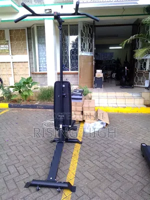 Pro Version Adjustable Gym Bench