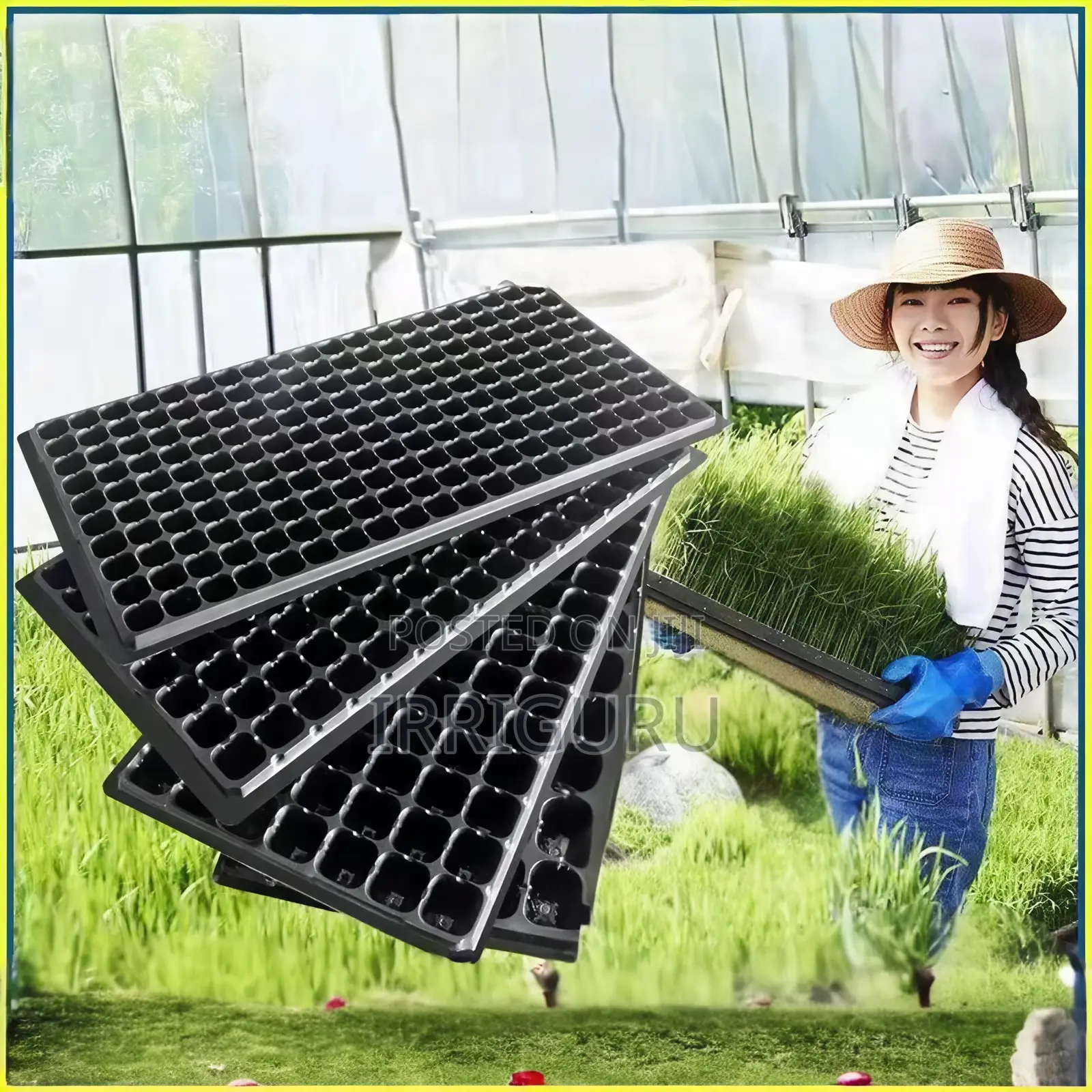 Seedling Tray.32 Planting Holes