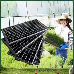 Seedling Tray.32 Planting Holes