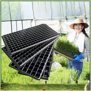 Seedling Tray.32 Planting Holes