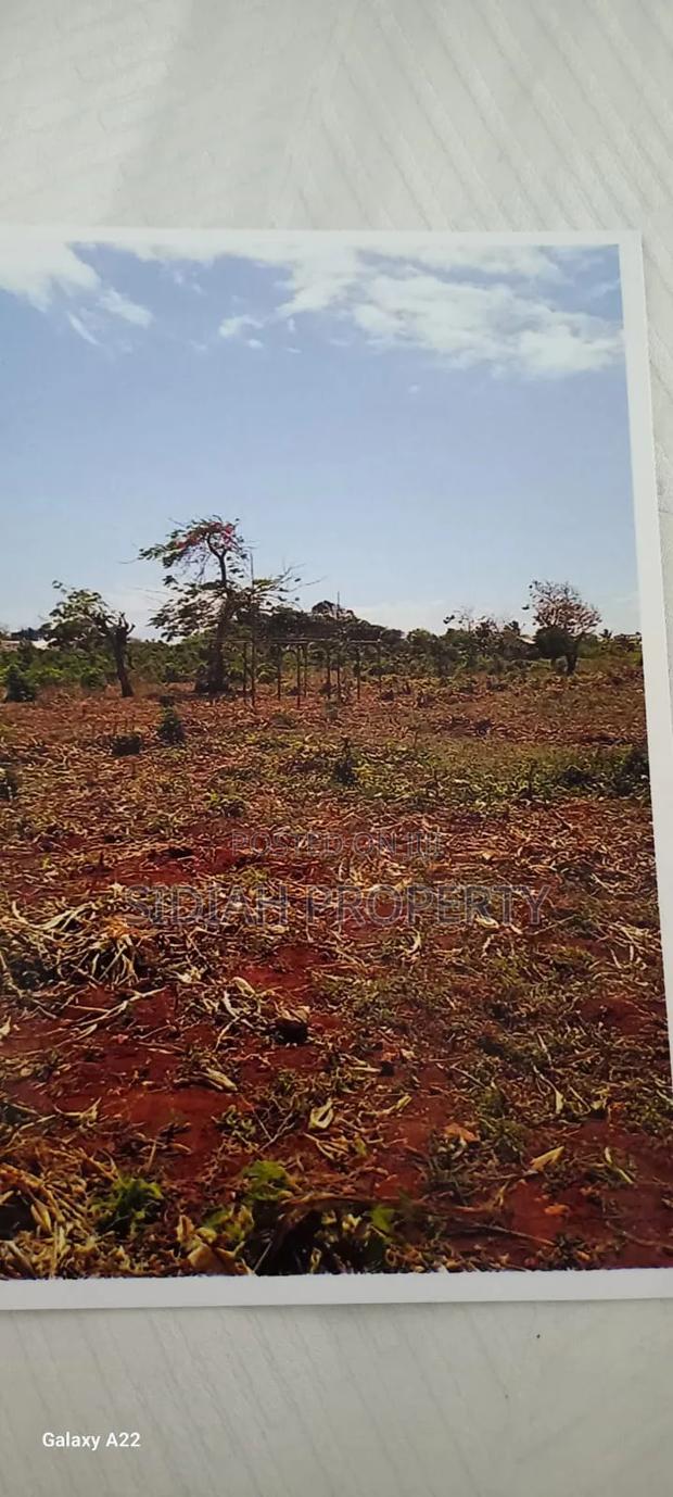 Msumarini - Kikambala - main view