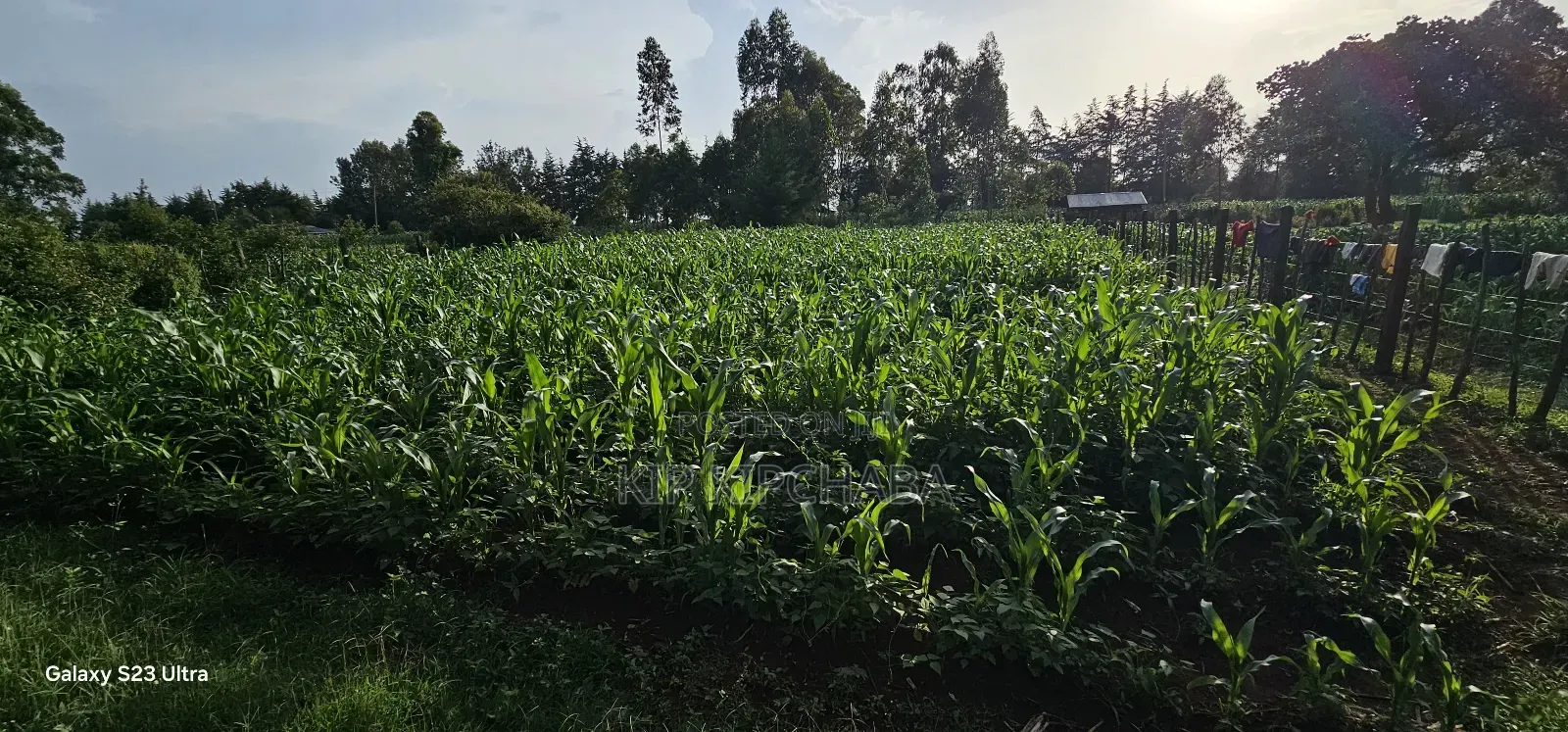 1⁄2 Acre With 2 Bedrooms for Sale in Kipkenyo Eldoret Simat