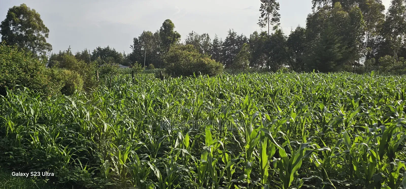 1⁄2 Acre With 2 Bedrooms for Sale in Kipkenyo Eldoret Simat