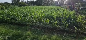 1⁄2 Acre With 2 Bedrooms for Sale in Kipkenyo Eldoret Simat