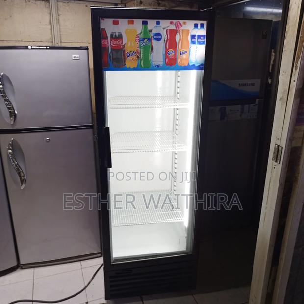 Freestanding Display Fridge