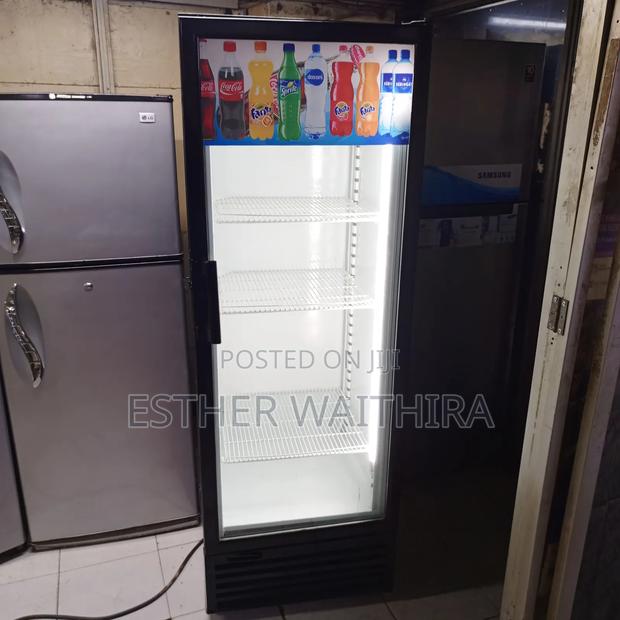 Freestanding Display Fridge - thumbnail 2